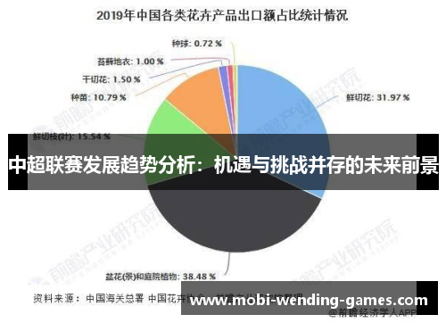中超联赛发展趋势分析：机遇与挑战并存的未来前景