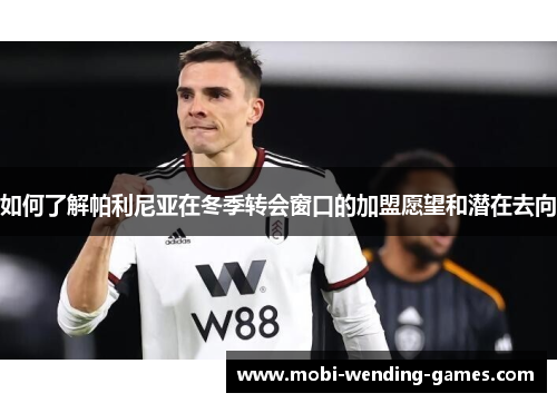 如何了解帕利尼亚在冬季转会窗口的加盟愿望和潜在去向
