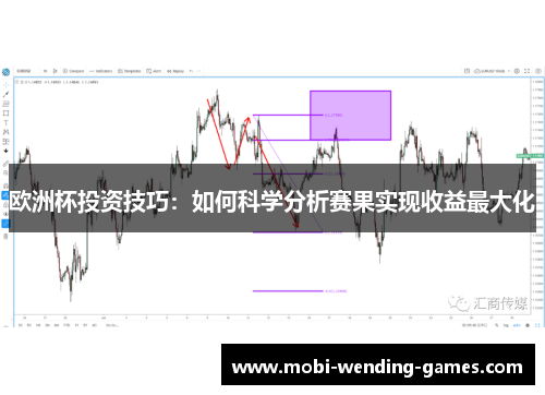 欧洲杯投资技巧：如何科学分析赛果实现收益最大化