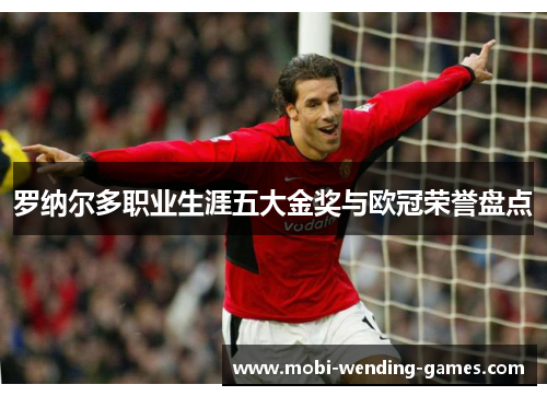 罗纳尔多职业生涯五大金奖与欧冠荣誉盘点