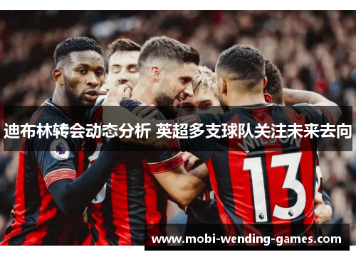 迪布林转会动态分析 英超多支球队关注未来去向