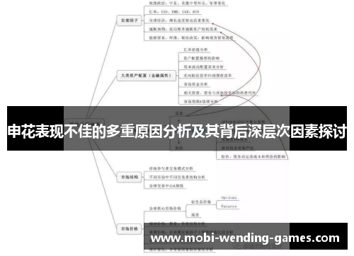 申花表现不佳的多重原因分析及其背后深层次因素探讨