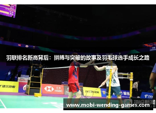 羽联排名新高背后：拼搏与突破的故事及羽毛球选手成长之路