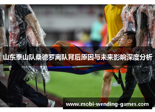 山东泰山队桑德罗离队背后原因与未来影响深度分析