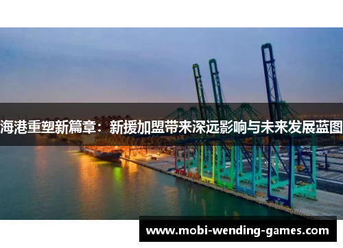 海港重塑新篇章：新援加盟带来深远影响与未来发展蓝图