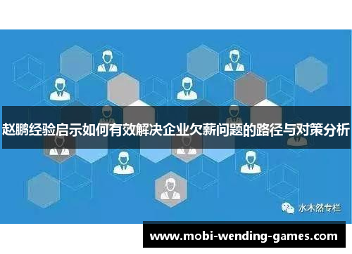 赵鹏经验启示如何有效解决企业欠薪问题的路径与对策分析