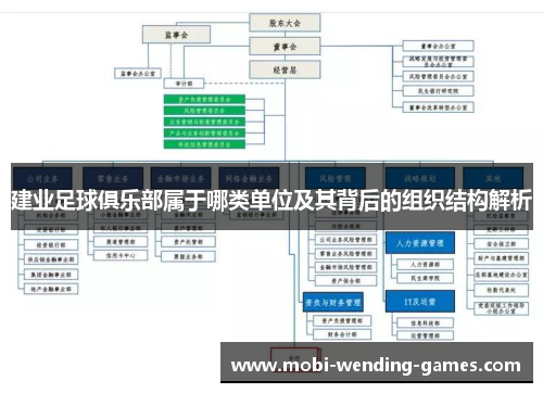 建业足球俱乐部属于哪类单位及其背后的组织结构解析