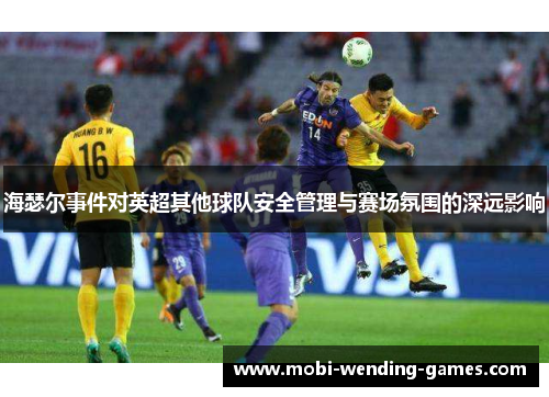 海瑟尔事件对英超其他球队安全管理与赛场氛围的深远影响 海瑟尔事件对英超其他球队安全管理与赛场氛围的深远影响