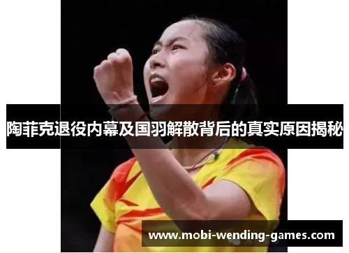 陶菲克退役内幕及国羽解散背后的真实原因揭秘 陶菲克退役内幕及国羽解散背后的真实原因揭秘