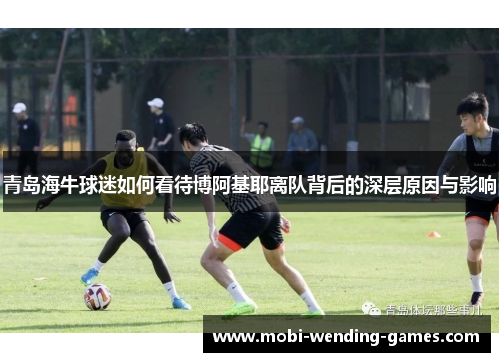 青岛海牛球迷如何看待博阿基耶离队背后的深层原因与影响
