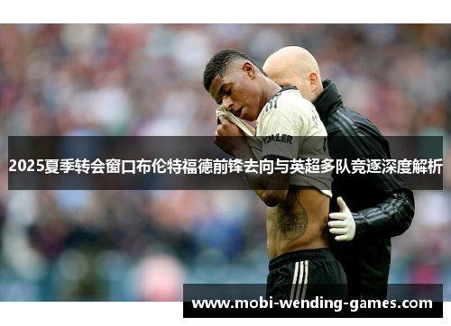 2025夏季转会窗口布伦特福德前锋去向与英超多队竞逐深度解析 2025夏季转会窗口布伦特福德前锋去向与英超多队竞逐深度解析